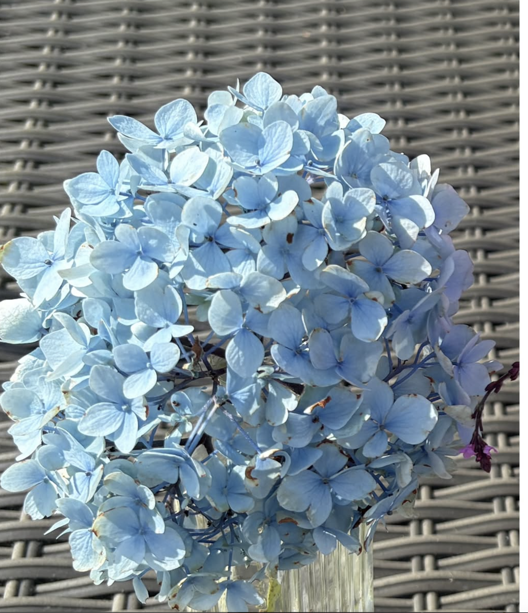 A close-up of a textured bouquet featuring roses and eucalyptus.